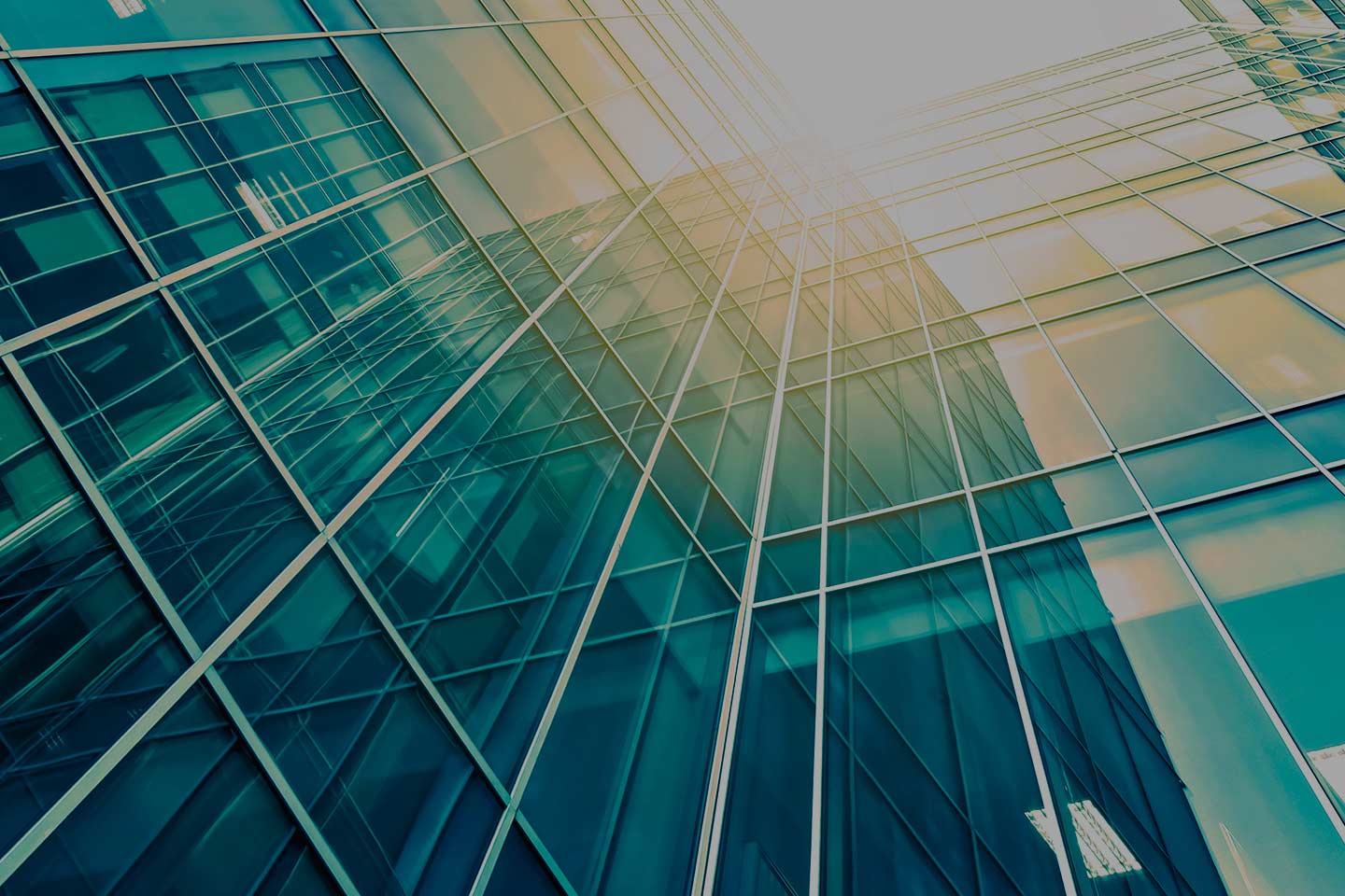 Background Image Papel Plast Pack S.L