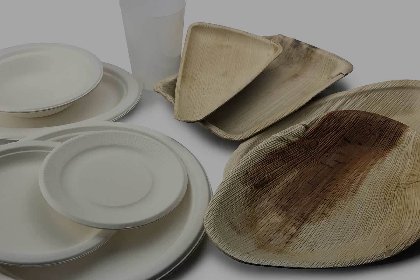 Background Image Papel Plast Pack S.L